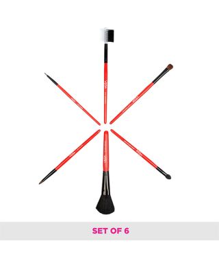 Set of 6 Brushes
